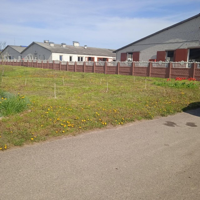 photo_2024-05-01_18-32-57