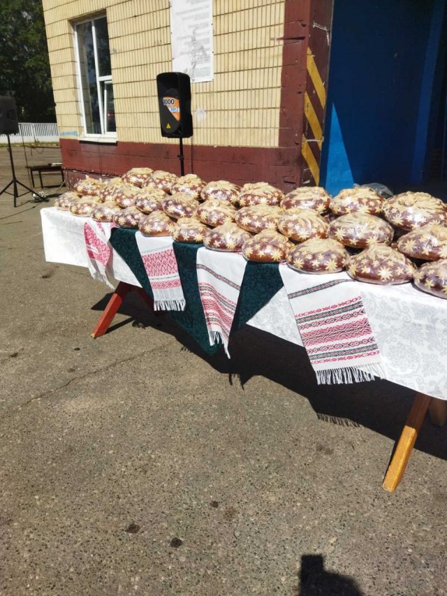 photo_2024-08-12_08-15-49