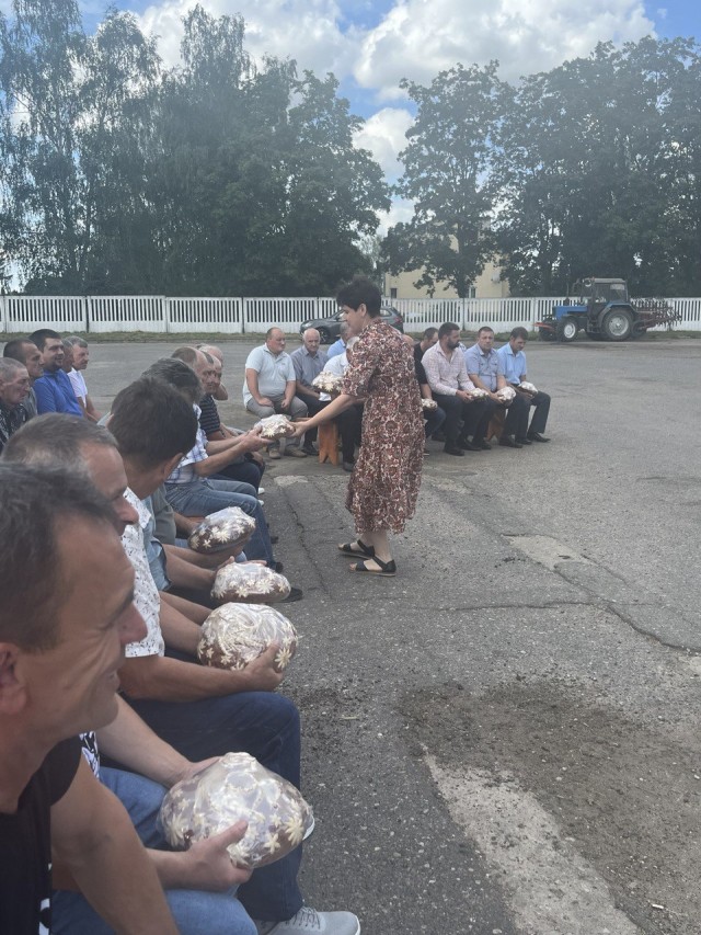 photo_2024-08-12_09-42-43 (2)