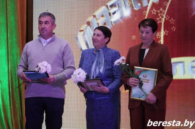 photo_2024-11-15_19-52-45 (2)