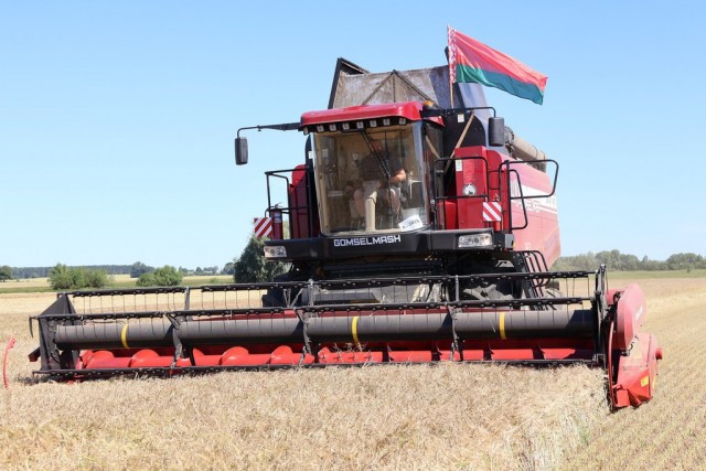 photo_2025-07-02_14-13-37 (2)