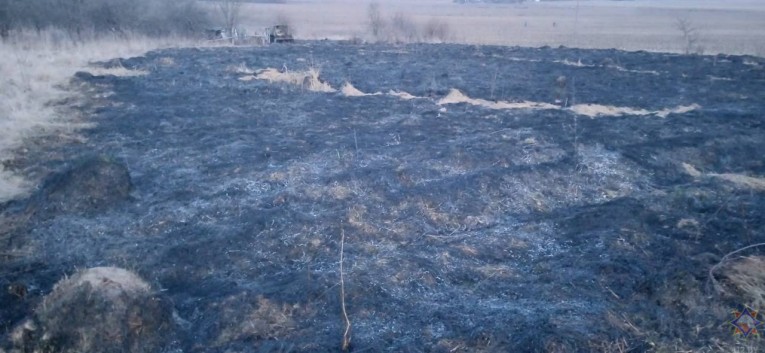 Штраф до 30 «Базовых»: на выходных в Гродненской области зарегистрированы первые случаи палов сухой травы