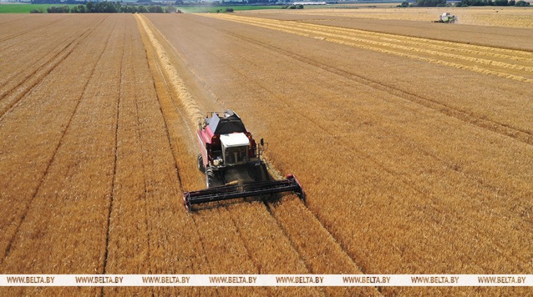 БЕЛТА - пишет о нас.