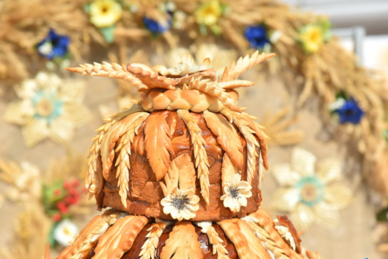 Мосты Дожинки 2024 приглашает всех на праздник!